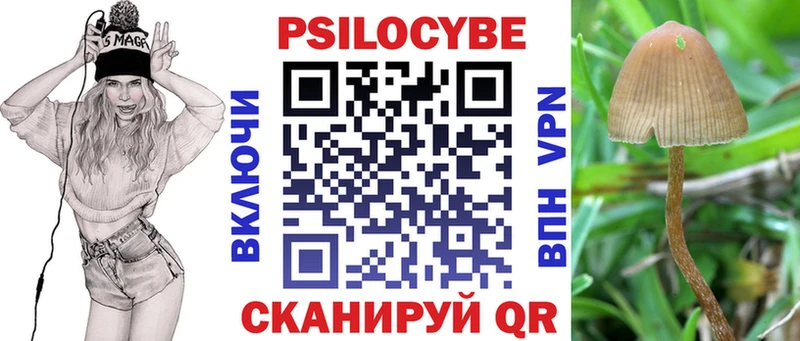 купить  сайты  Новоуральск  Галлюциногенные грибы Psilocybine cubensis 
