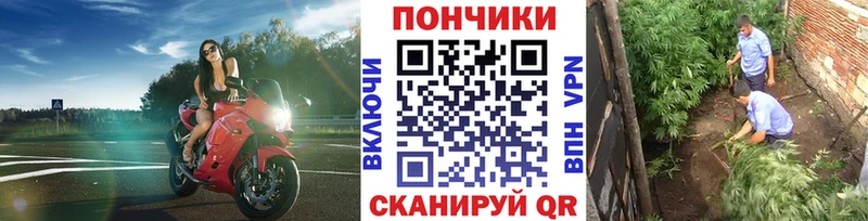 Марихуана планчик  Новоуральск 